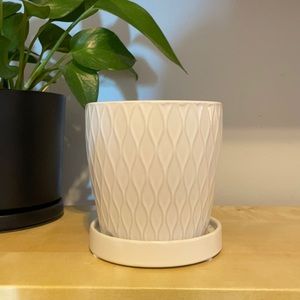 White Planter w/ Saucer & Drainage